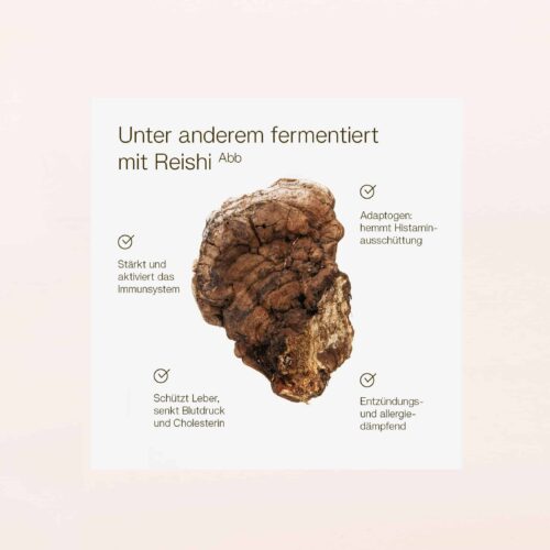 Life-Mikroorganismen-Komplex-Ferment-500-ml_Illu